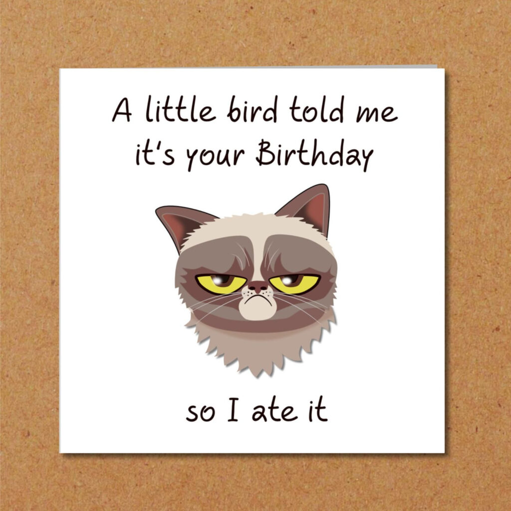 Grumpy Cat Birthday Card For Anyone Who Loves Cats Funny Etsy Cat 