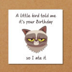 Grumpy Cat Birthday Card For Anyone Who Loves Cats Funny Etsy Cat