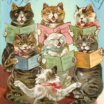 Birthday Cards With Cats Free Online In 2020 Happy Birthday Cat Cat