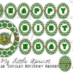 Personalized Teenage Mutant Ninja Turtle Digital Printable Birthday