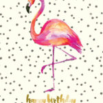 Pin On Fabulous Flamingos