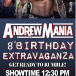 WWE Birthday Invitation Tickets Print At Home Wwe Birthday