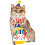 Birthday Cake Cat Kitten Balloon Cat Png Download 600 600 Free