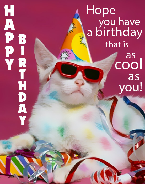 Happy Birthday Funny Birthday ECards Pictures And Gifs 