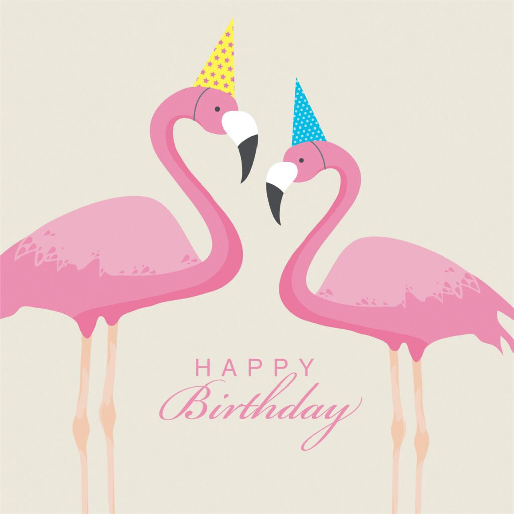 HBD Flamingo Carte Joyeux Anniversaire Image Anniversaire Bon 
