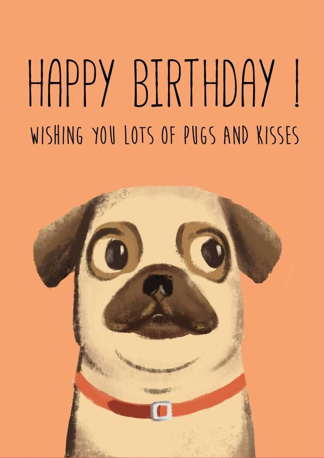 Pug Birthday Card Pugs Printable Art Greeting Card Birthday 